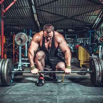 Articles Image How Anabolic Steroids Work?