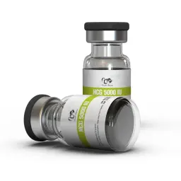 HCG 5000IU Dragon Pharma, Europe