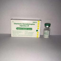 HCG Fertigyn 5000 IU - Human Chorionic Gonadotropin - Sun Pharma, India