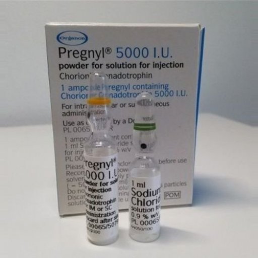 HCG Pregnyl 5000 IU Organon Ilaclari, Turkey