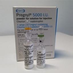 HCG Pregnyl 5000 IU - Human chorionic gonadotropin - Organon Ilaclari, Turkey