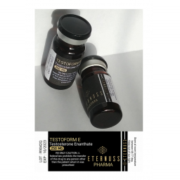 Testoform E 250 - Testosterone Enanthate - Ordinary Steroids USA