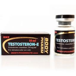 Testosteron-E - Testosterone Enanthate - BodyPharm