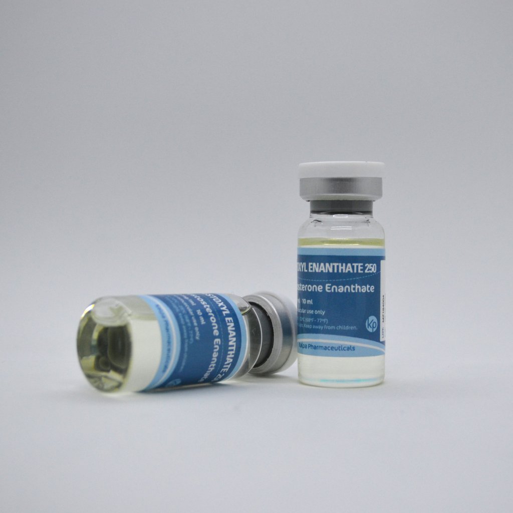 Testoxyl Enanthate 250 Testoxyl Enanthate 250