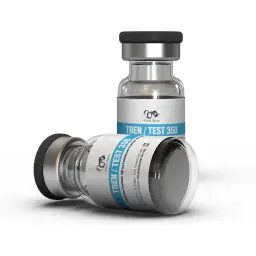 Tren/Test 350 Dragon Pharma, Europe